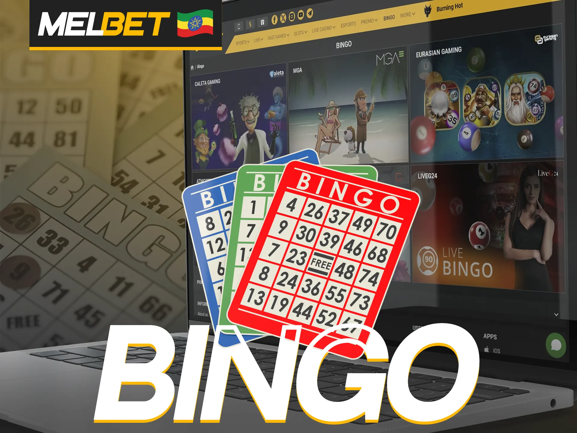 Play bingo at Melbet.