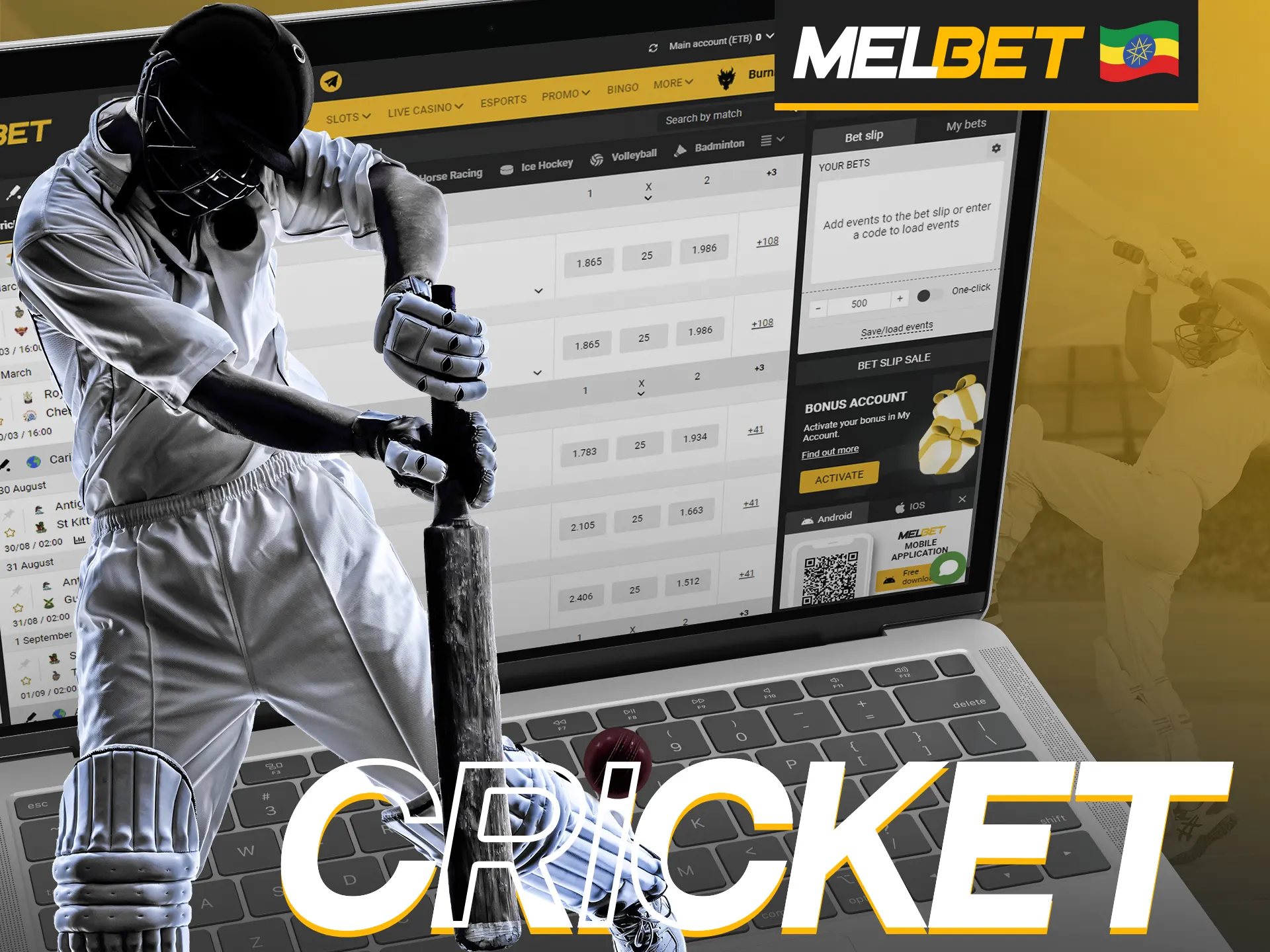 Melbet has high cricket betting odds.