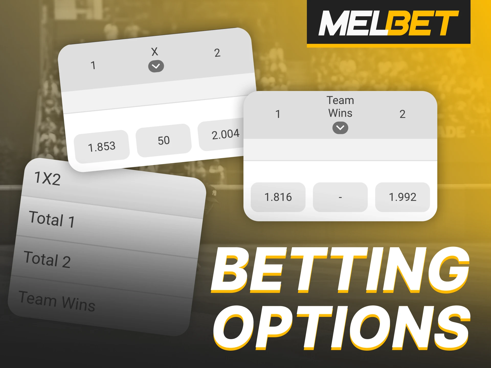 Check the list of popular IPL betting options at Melbet.