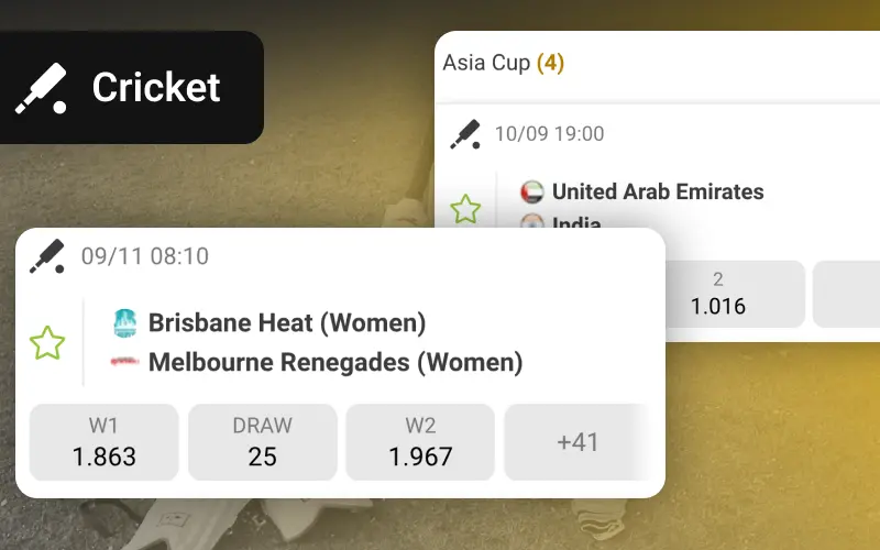 Bet on cricket on Melbet betting website.