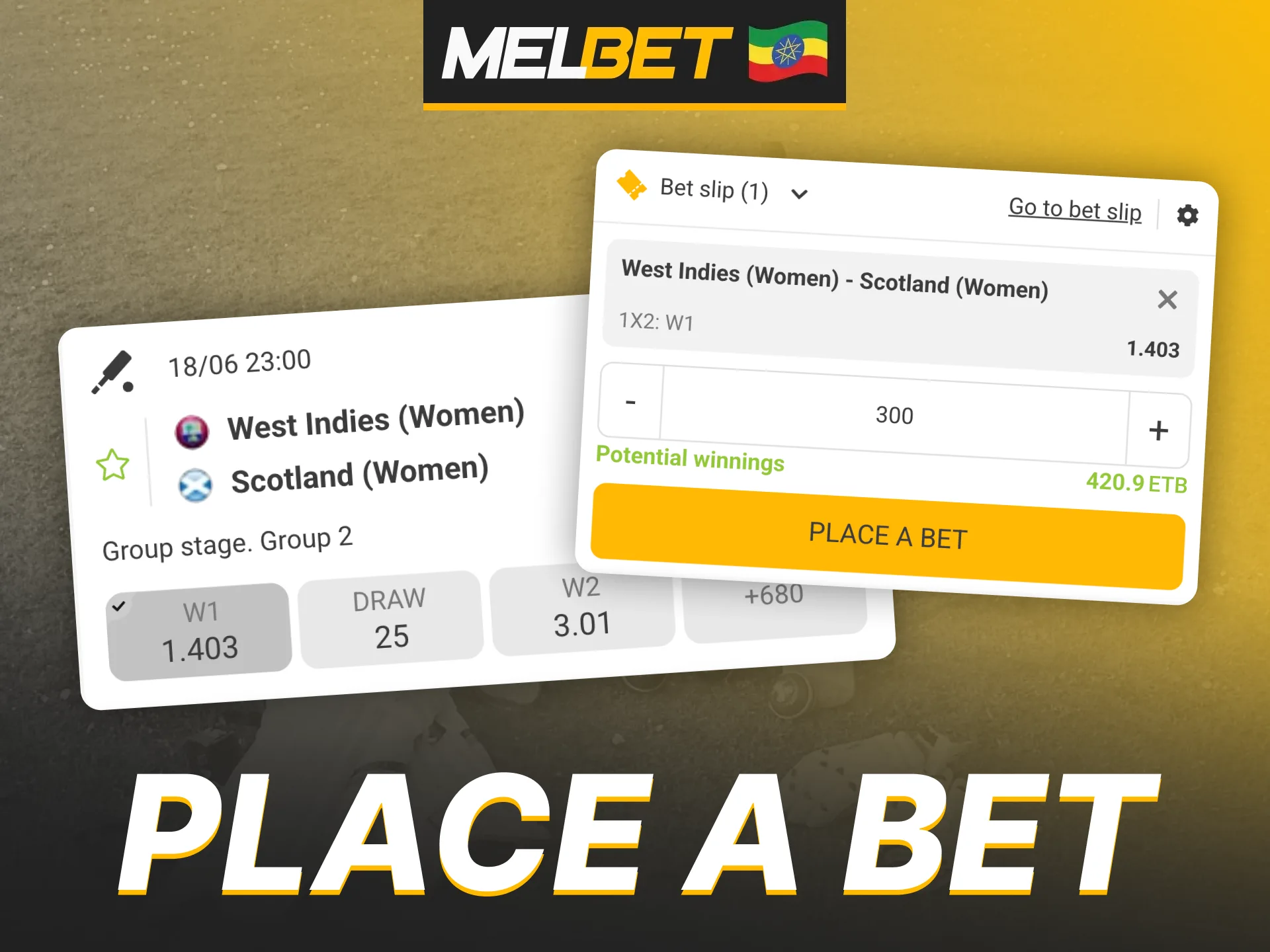 At Melbet you can easily bet on sports.